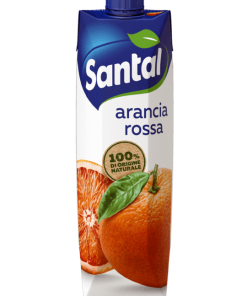 Santal Succo Frutti Rossi 10 Vitamine 1 L